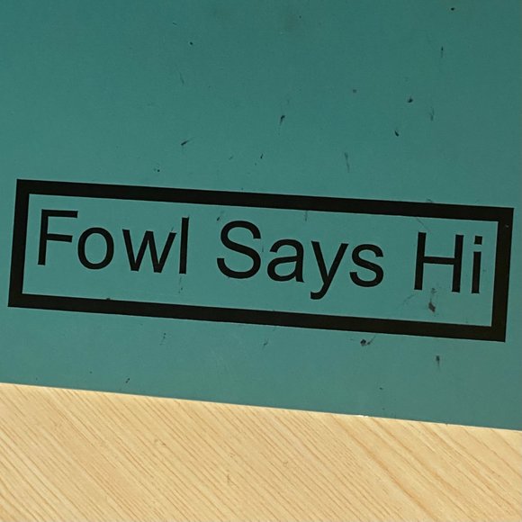 Official Fowl Merch Sticker Decal - Picture 2 of 2